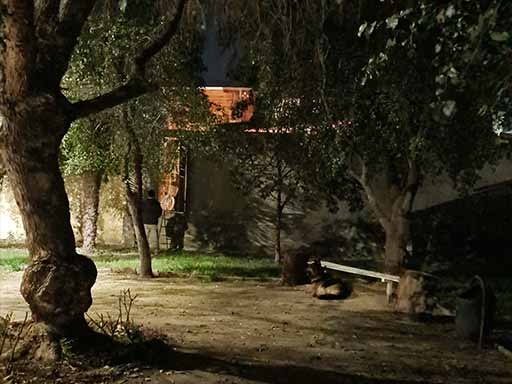 Parque interior por la noche